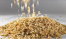 绿色包装与低碳物流协同推进，行业降耗成效初显